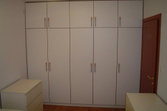 Ines-1
