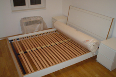 Ines-3