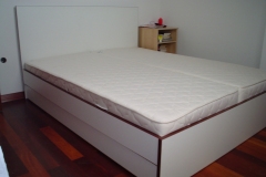 Mirela-1