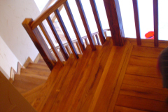 Stari-hrast-3