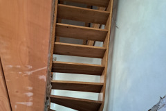 Franjo-6