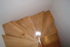 Lidija-5